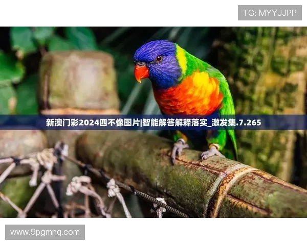 澳门官方彩票网安卓版下载：畅享便捷购彩新体验